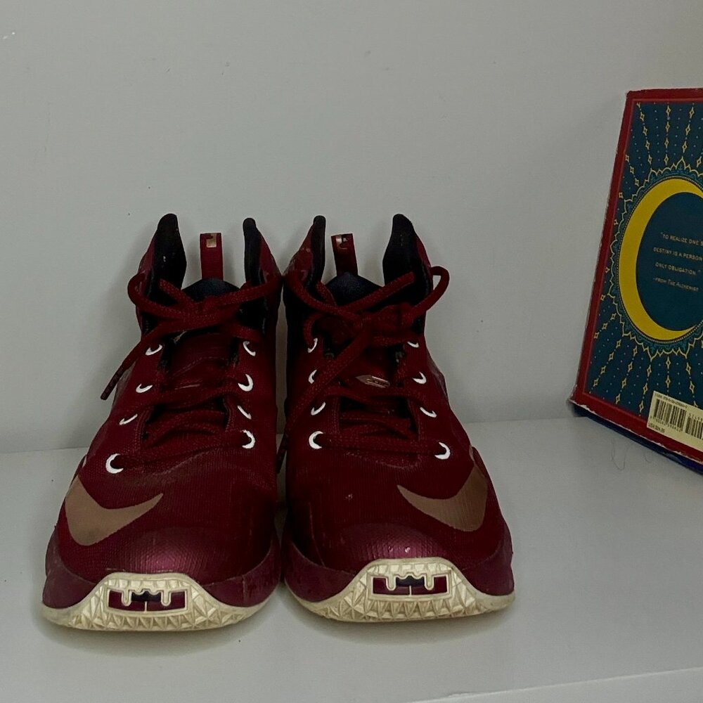 Nike LeBron 13s
